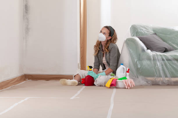 Reliable Mold Cleanup contractor in Rougemont, NC by WQB Mold Removal